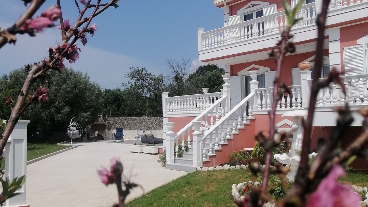 Photo of Others in Skala