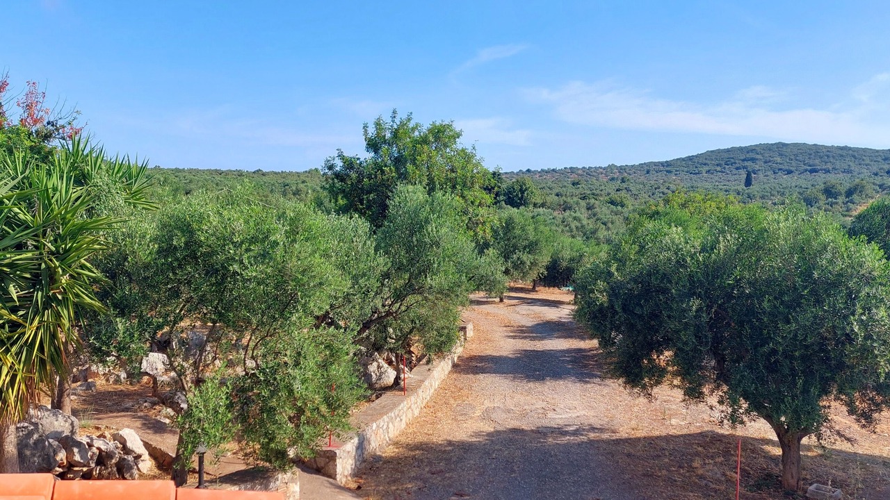Photo of Outdoor in West Mani