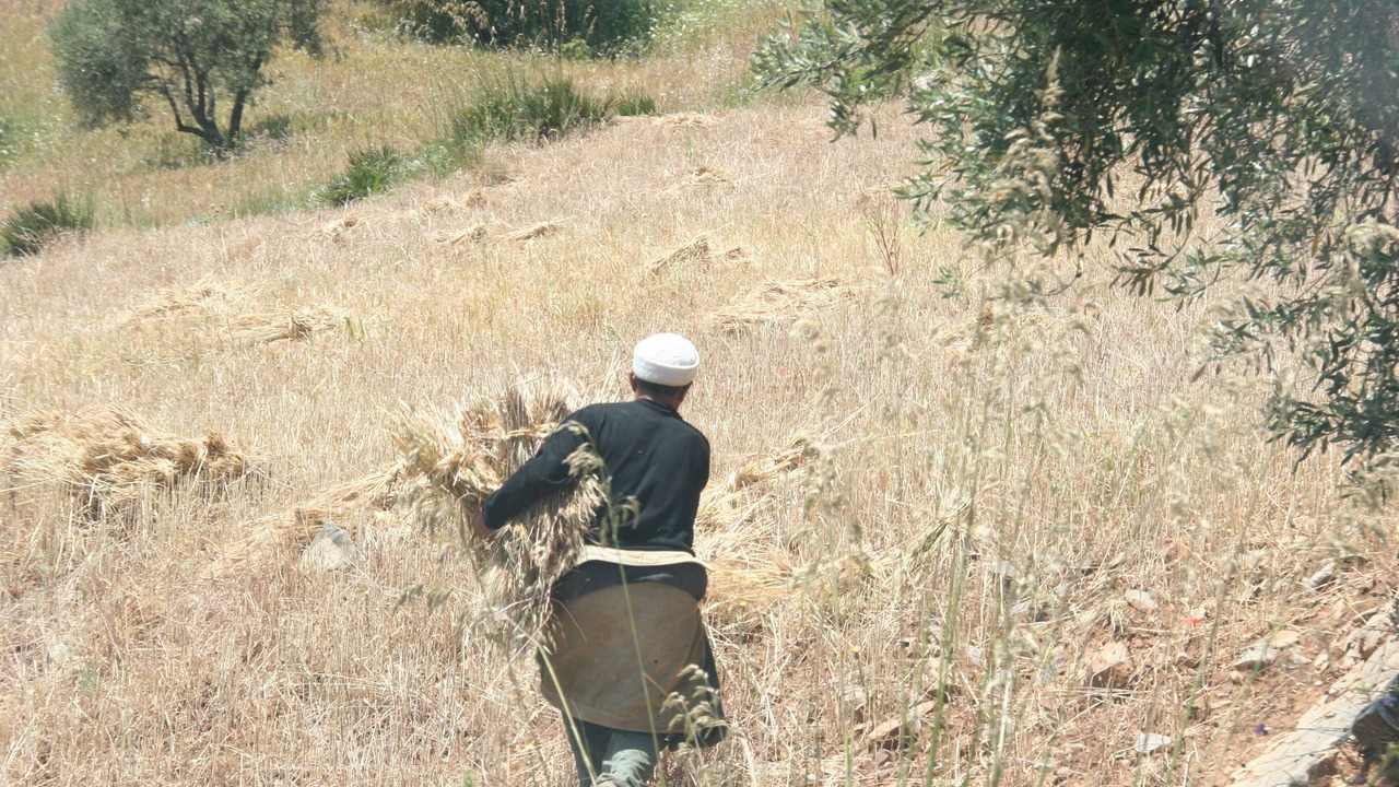 Photo of Outdoor in Oulad Ayyad