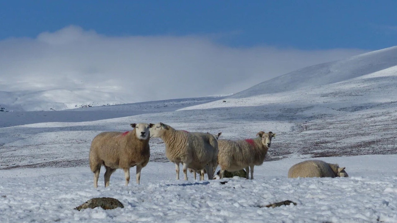 Photo of Others in Newtonmore