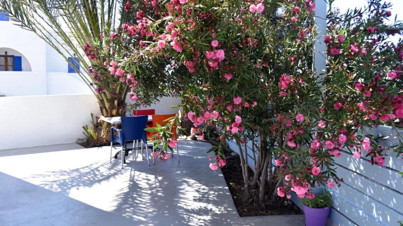 Photo of Patio Balcony in Perissa