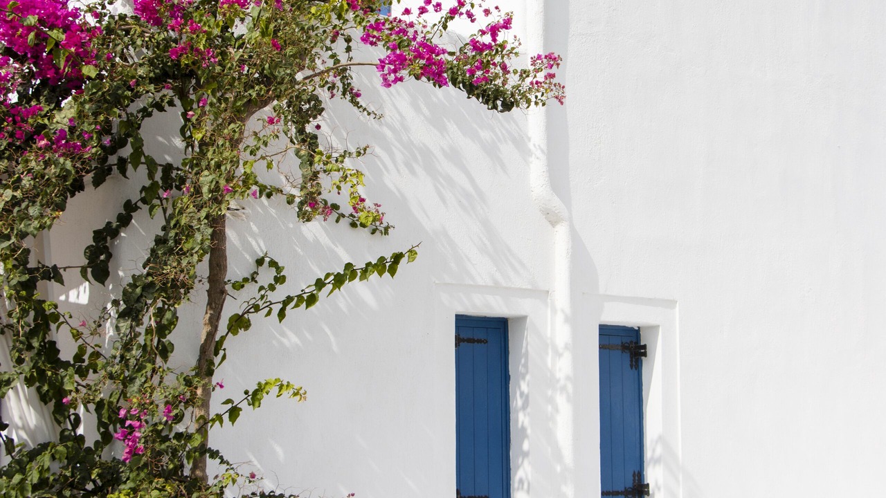 Photo of Others in Santorini