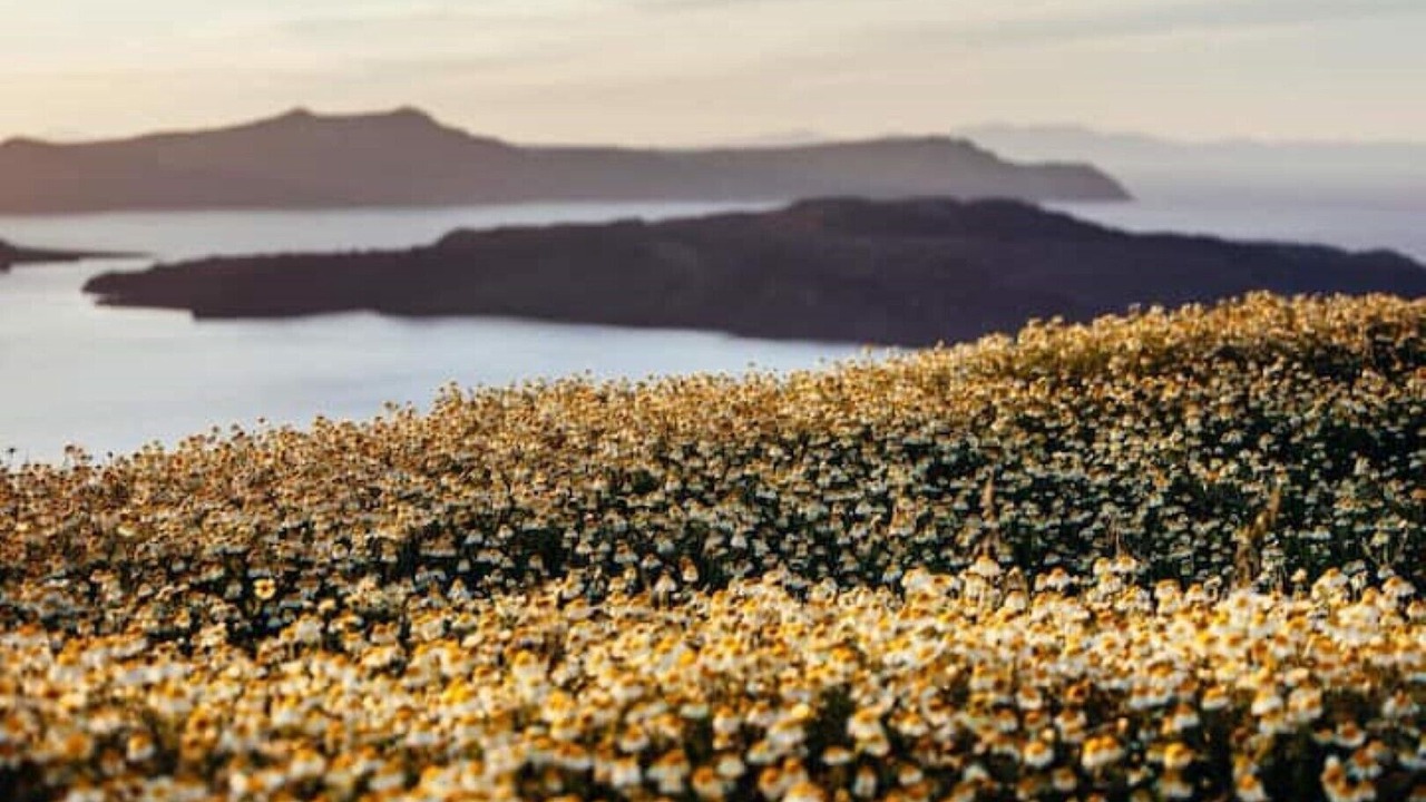 Photo of Outdoor in Santorini