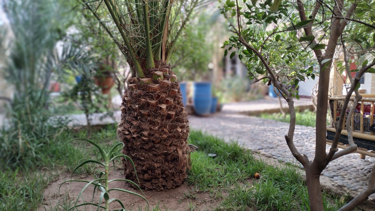 Photo of Outdoor in Ounagha