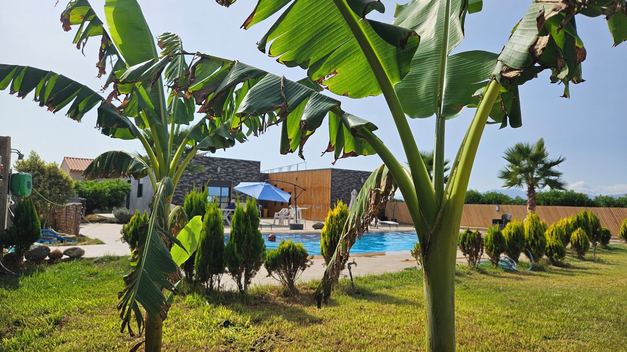 Photo of Outdoor in Berkane