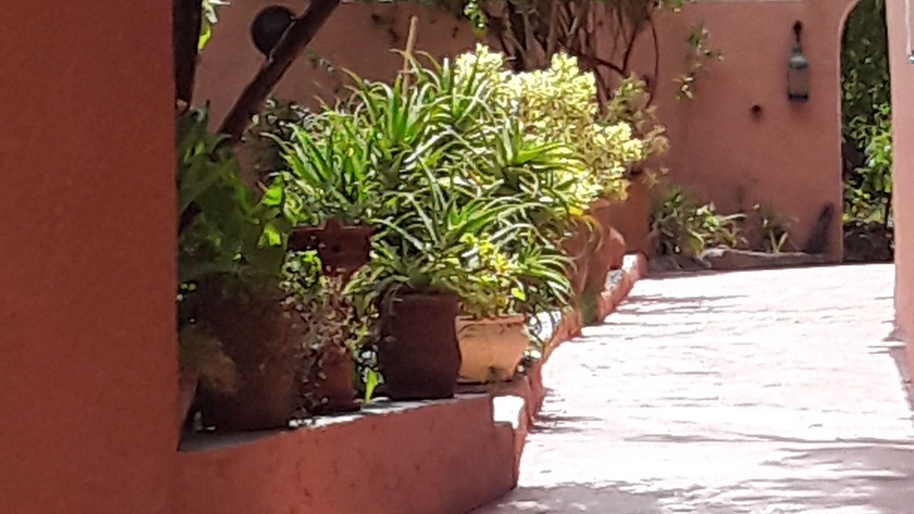 Photo of Outdoor in Ouirgane