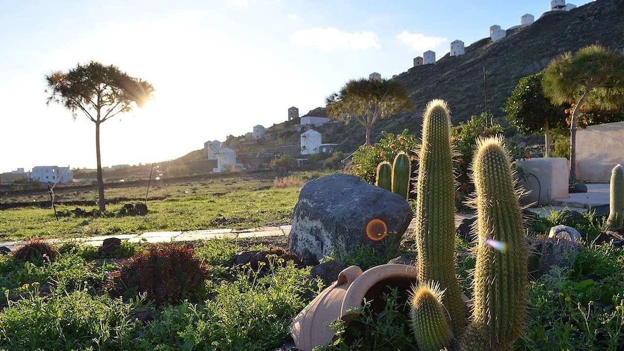 Photo of Others in Imerovigli