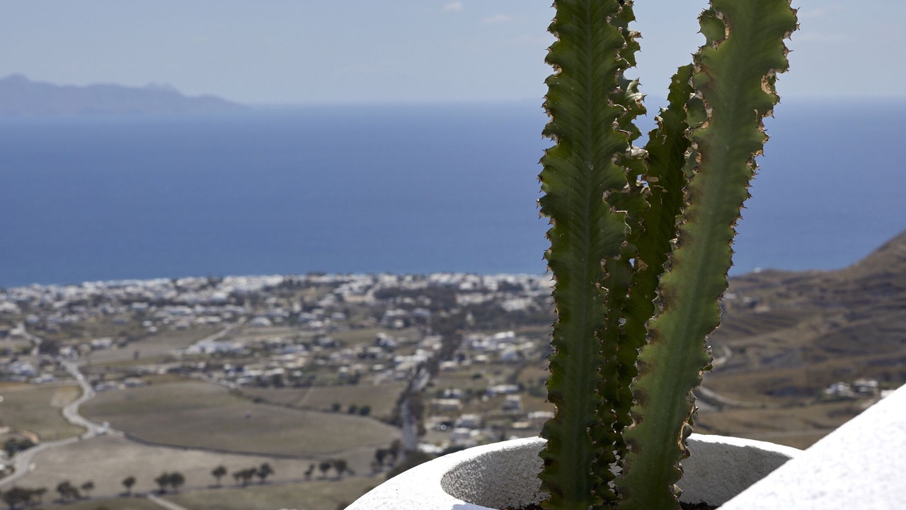 Photo of Others in Santorini