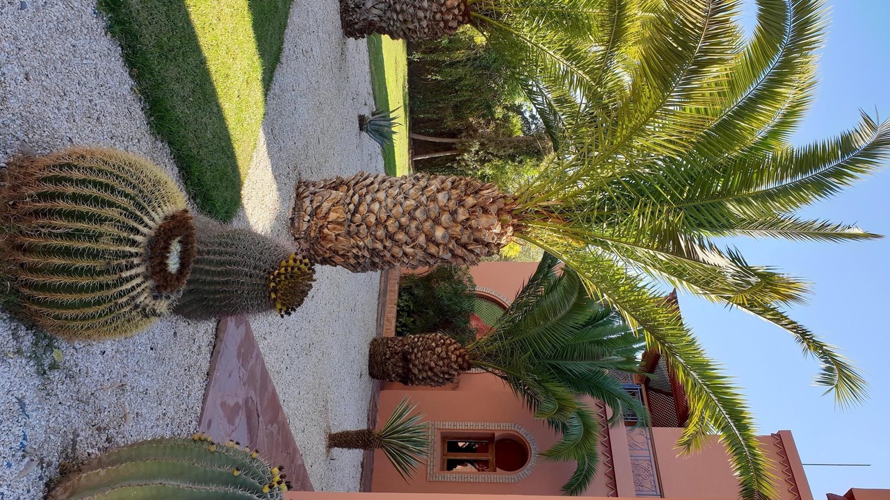 Photo of Outdoor in Ait Hamid