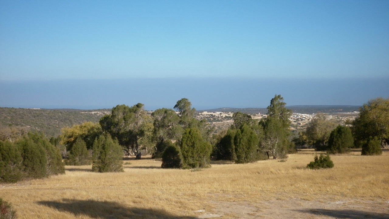 Photo of Others in Moulay Bouzarqtoune