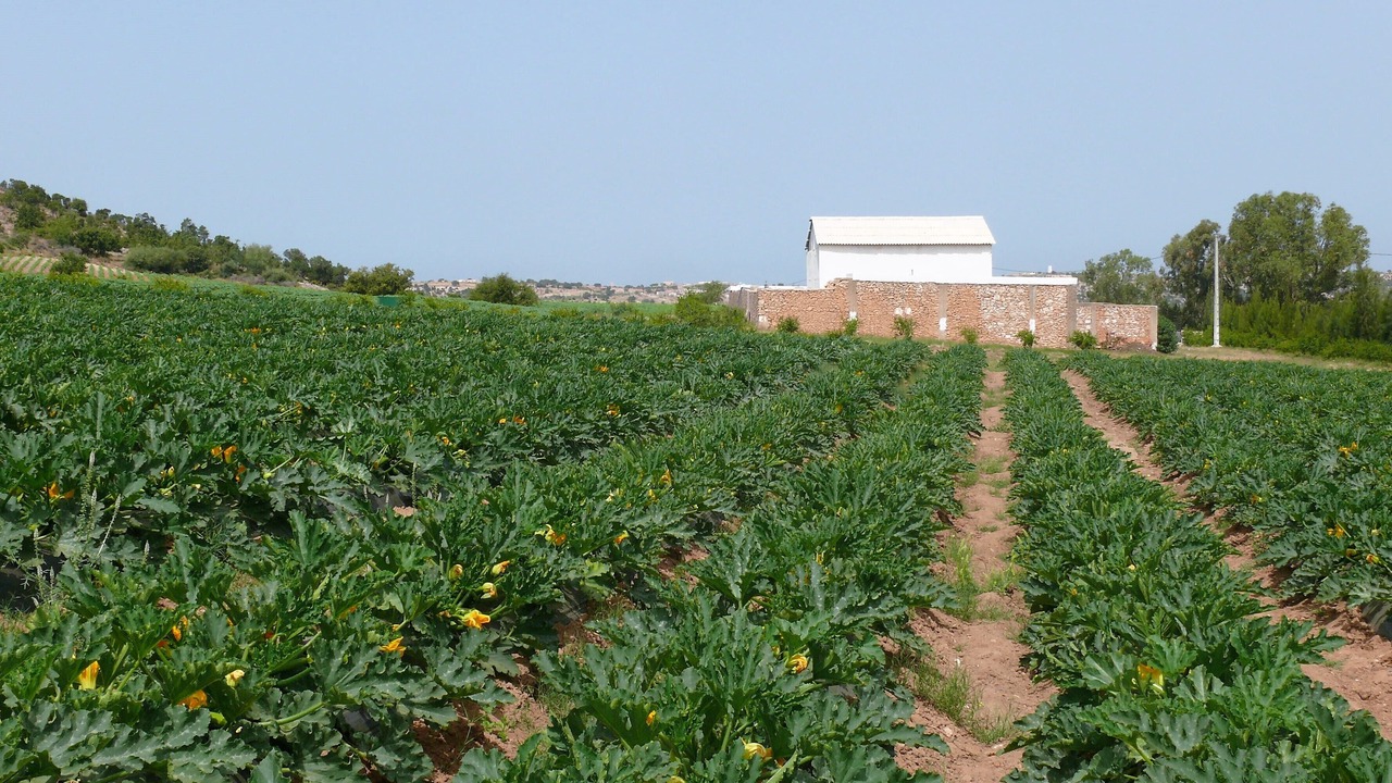 Photo of Outdoor in Moulay Bouzarqtoune