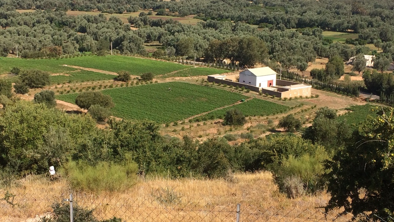 Photo of Outdoor in Moulay Bouzarqtoune