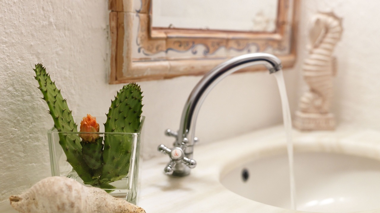 Photo of Bathroom in Exo Gonia