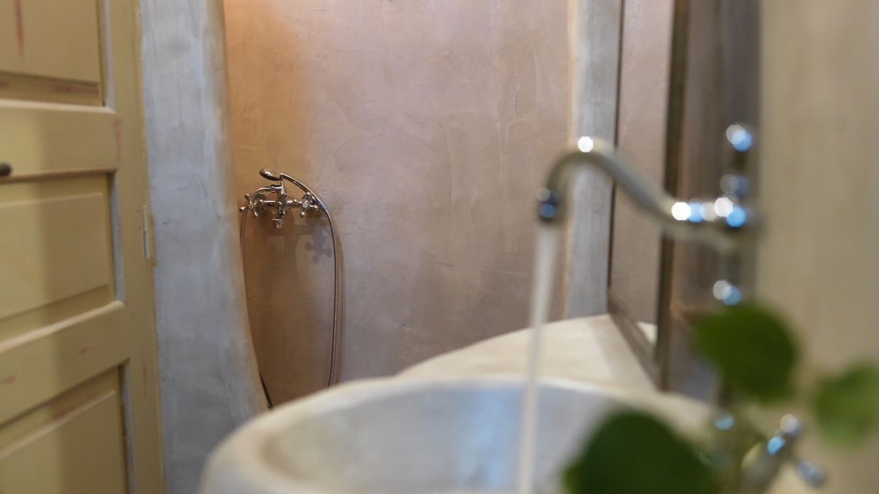 Photo of Bathroom in Exo Gonia