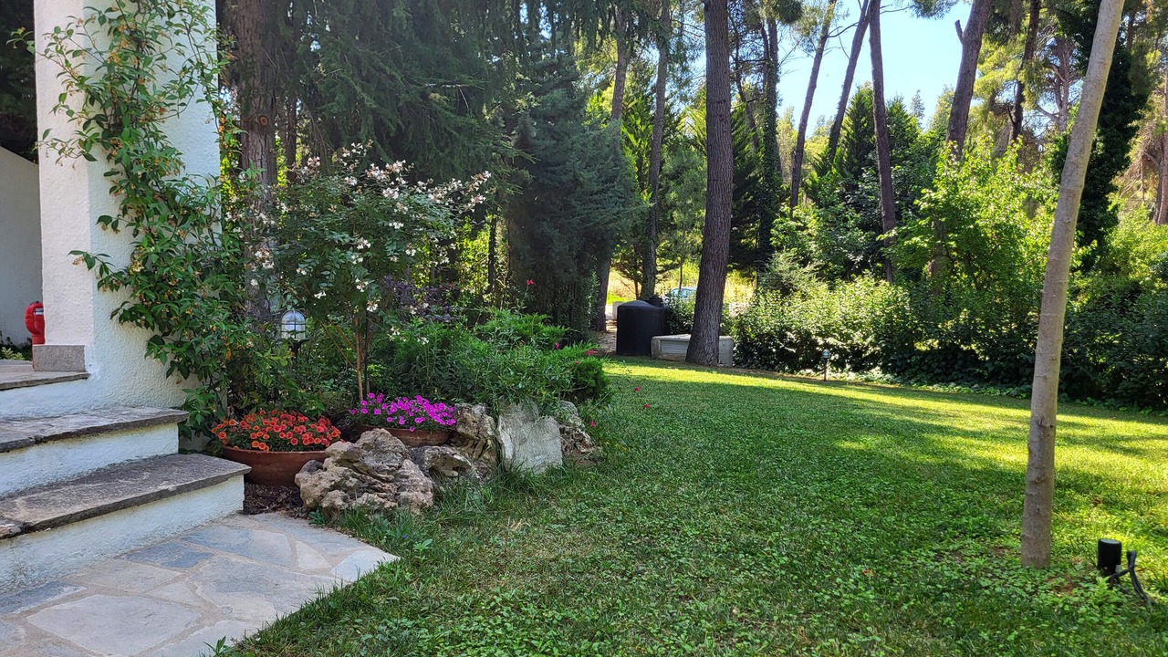 Photo of Outdoor in Sane