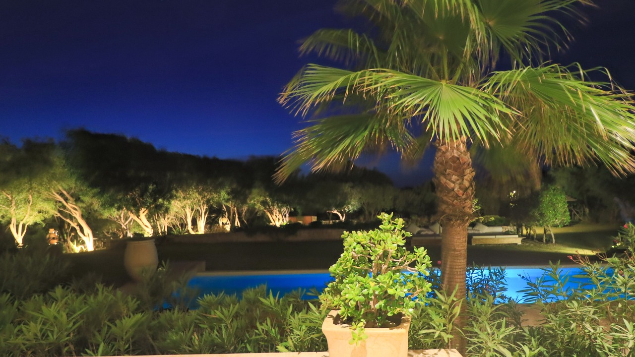Photo of Outdoor in Medina
