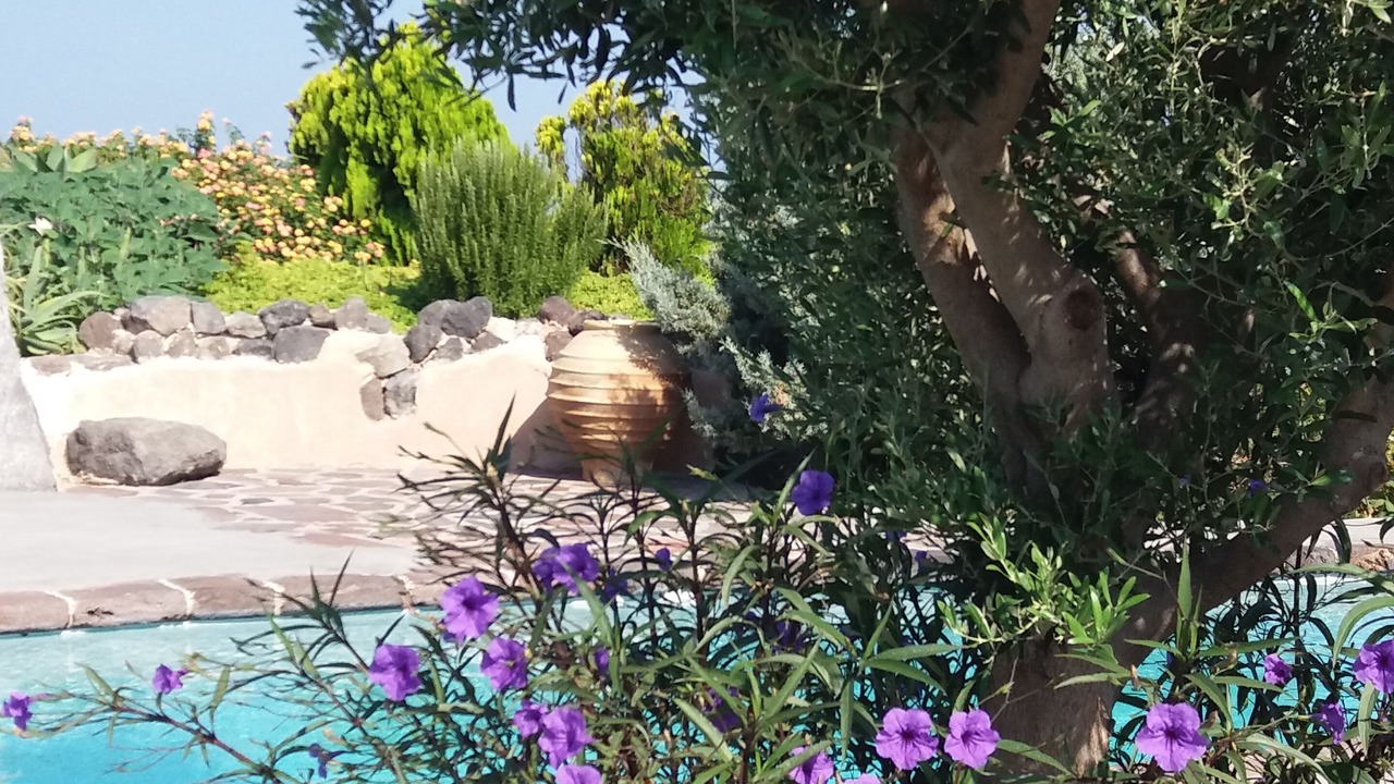 Photo of Outdoor in Oia