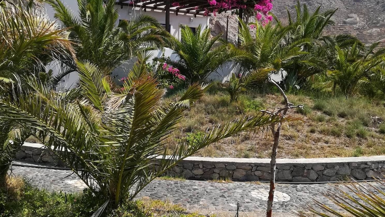 Photo of Outdoor in Perissa