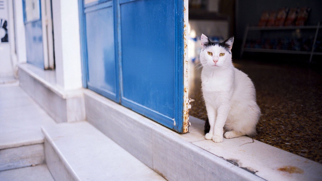 Photo of Others in Pefkos