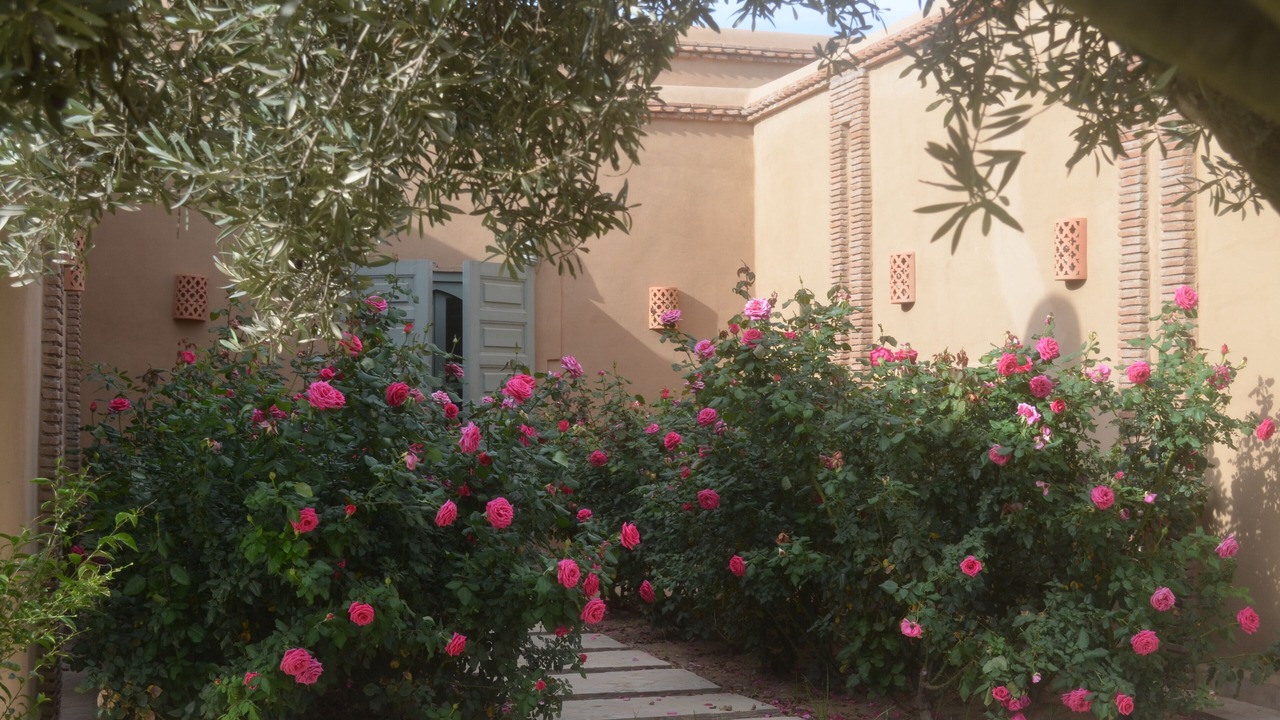 Photo of Outdoor in Taroudannt