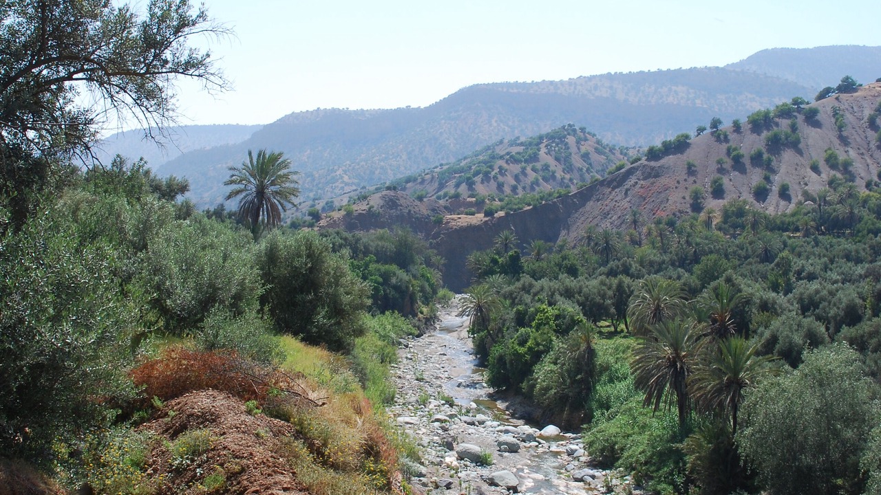 Photo of Others in Taroudannt
