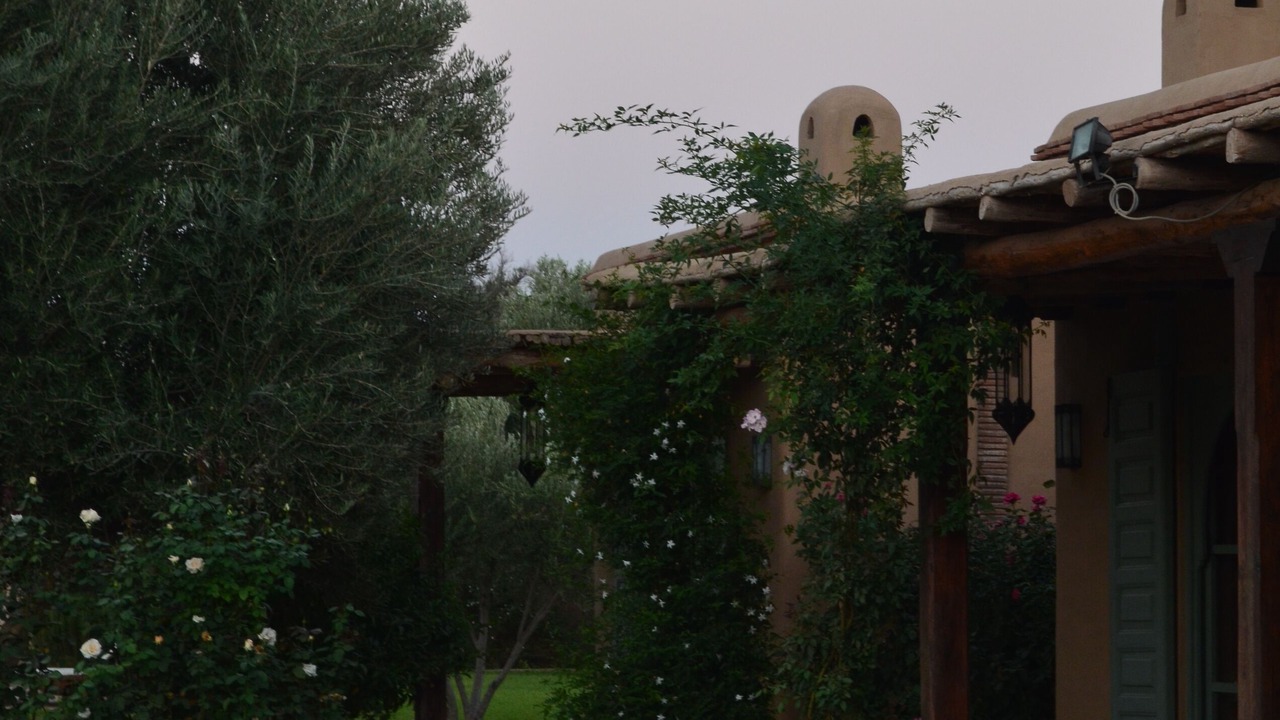 Photo of Outdoor in Taroudannt