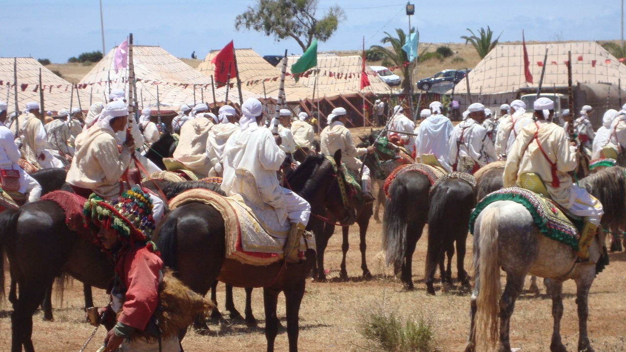 Photo of Others in Ain Attig