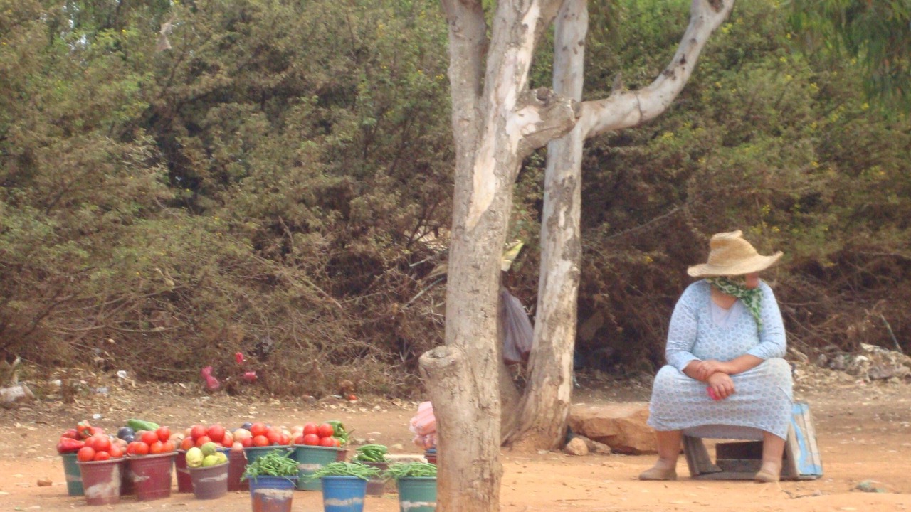 Photo of Outdoor in Ain Attig