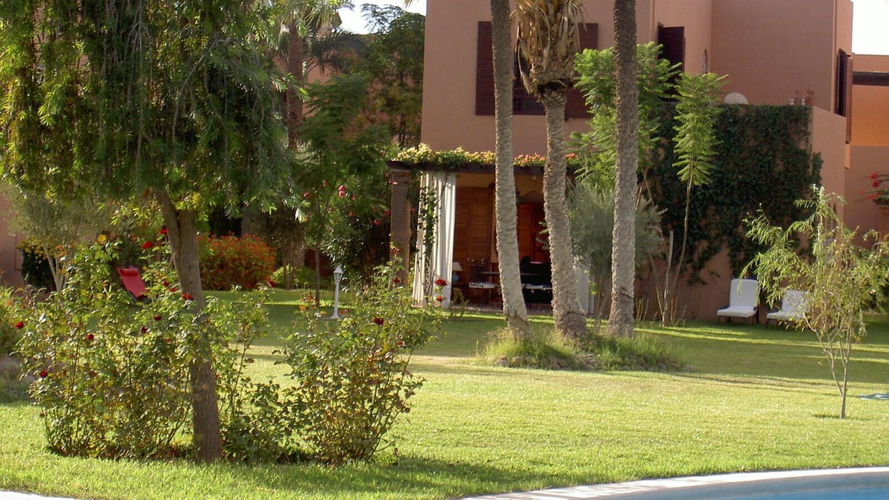 Photo of Outdoor in Palmeraie