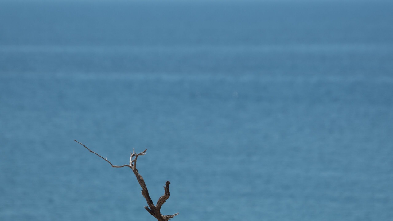 Photo of Outdoor in Akrotiri