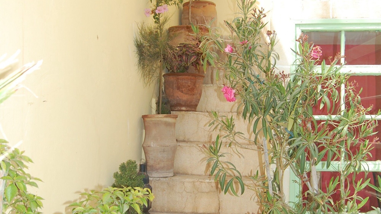 Photo of Outdoor in Medina