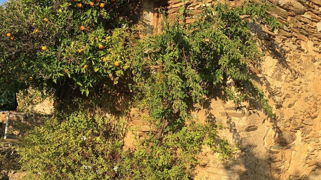 Photo of Others in Ydrousa