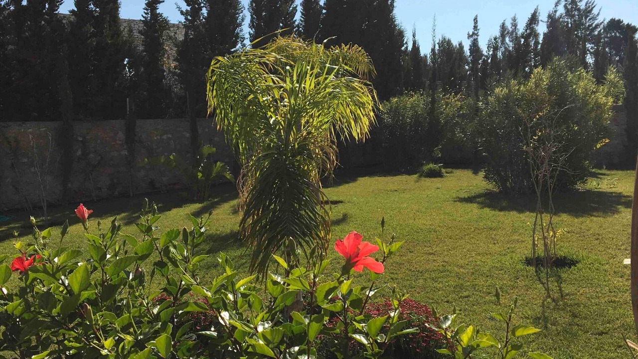 Photo of Outdoor in Ida Ougourd