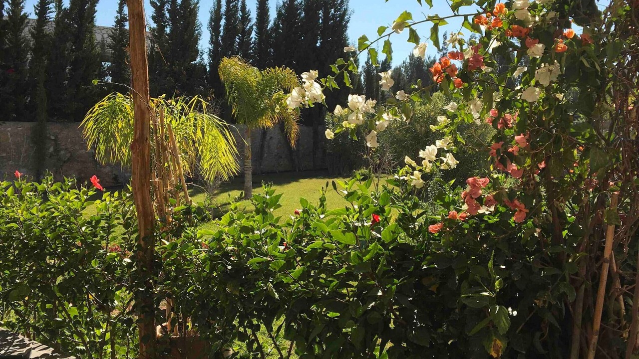 Photo of Outdoor in Ida Ougourd