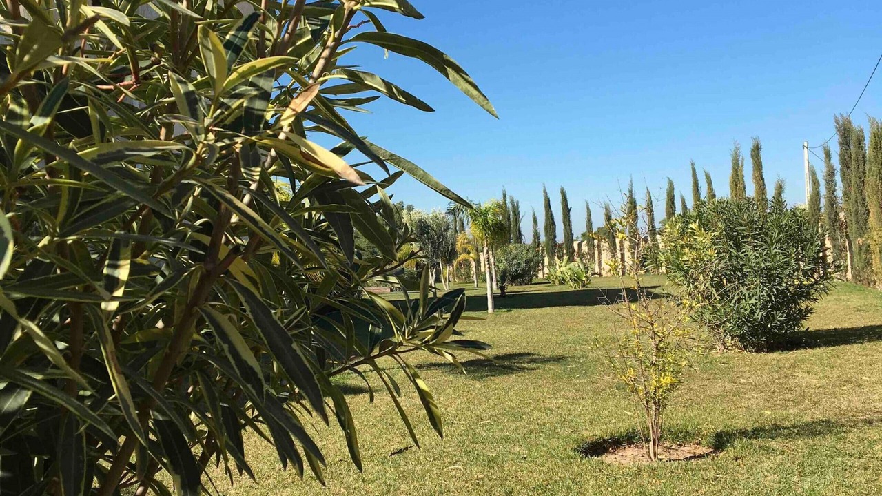 Photo of Outdoor in Ida Ougourd