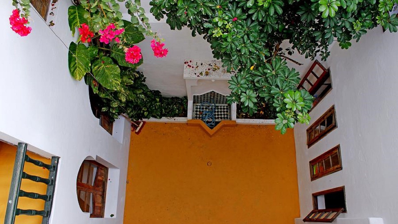 Photo of Outdoor in Medina