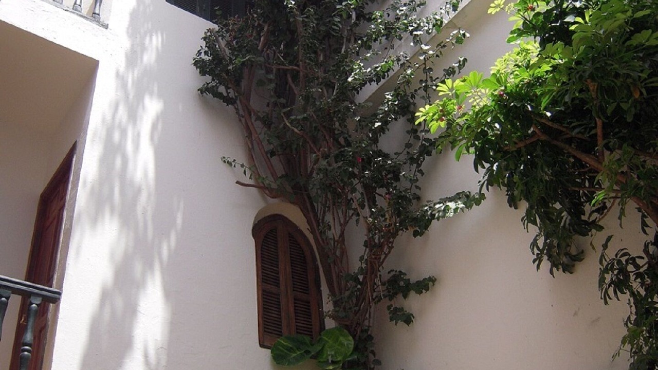 Photo of Outdoor in Medina