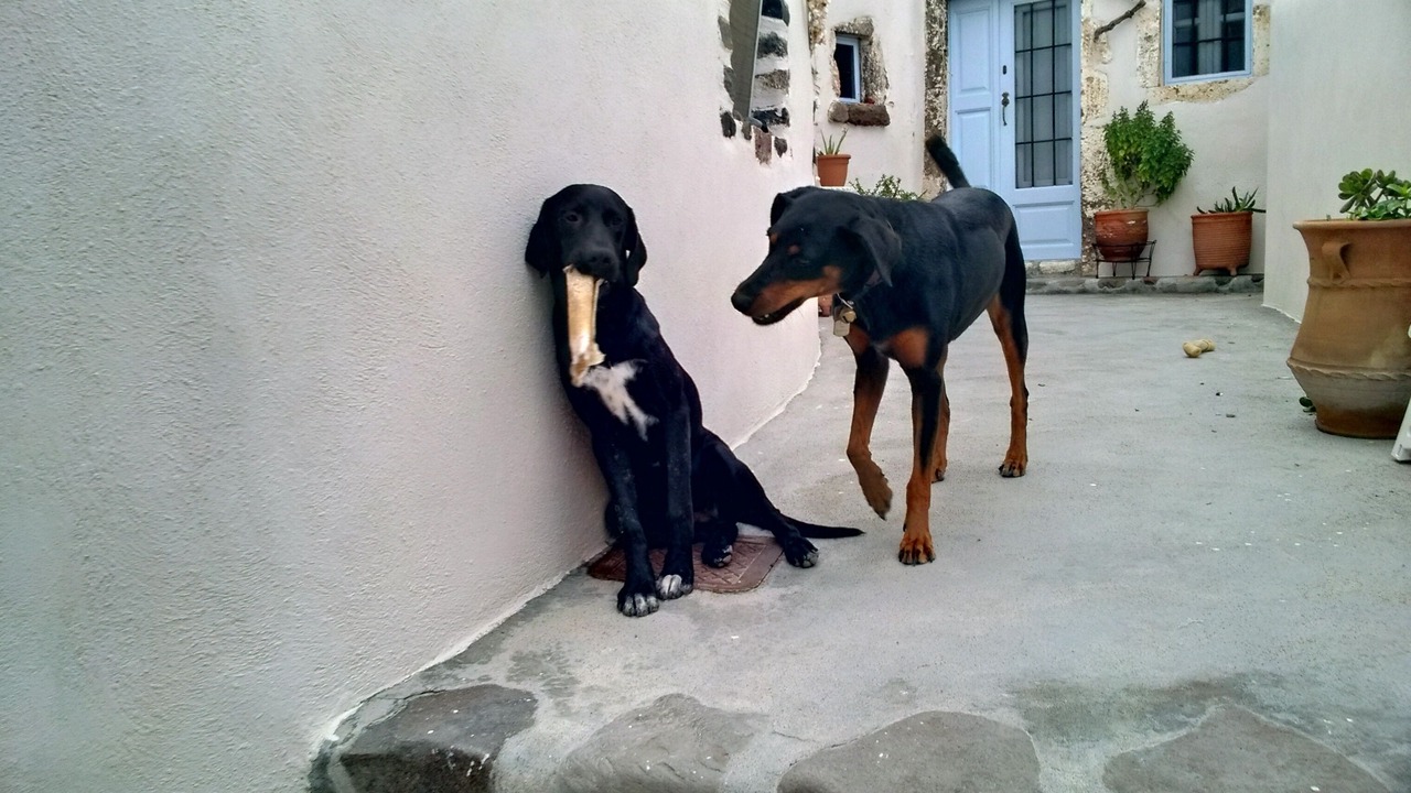 Photo of Others in Emporio