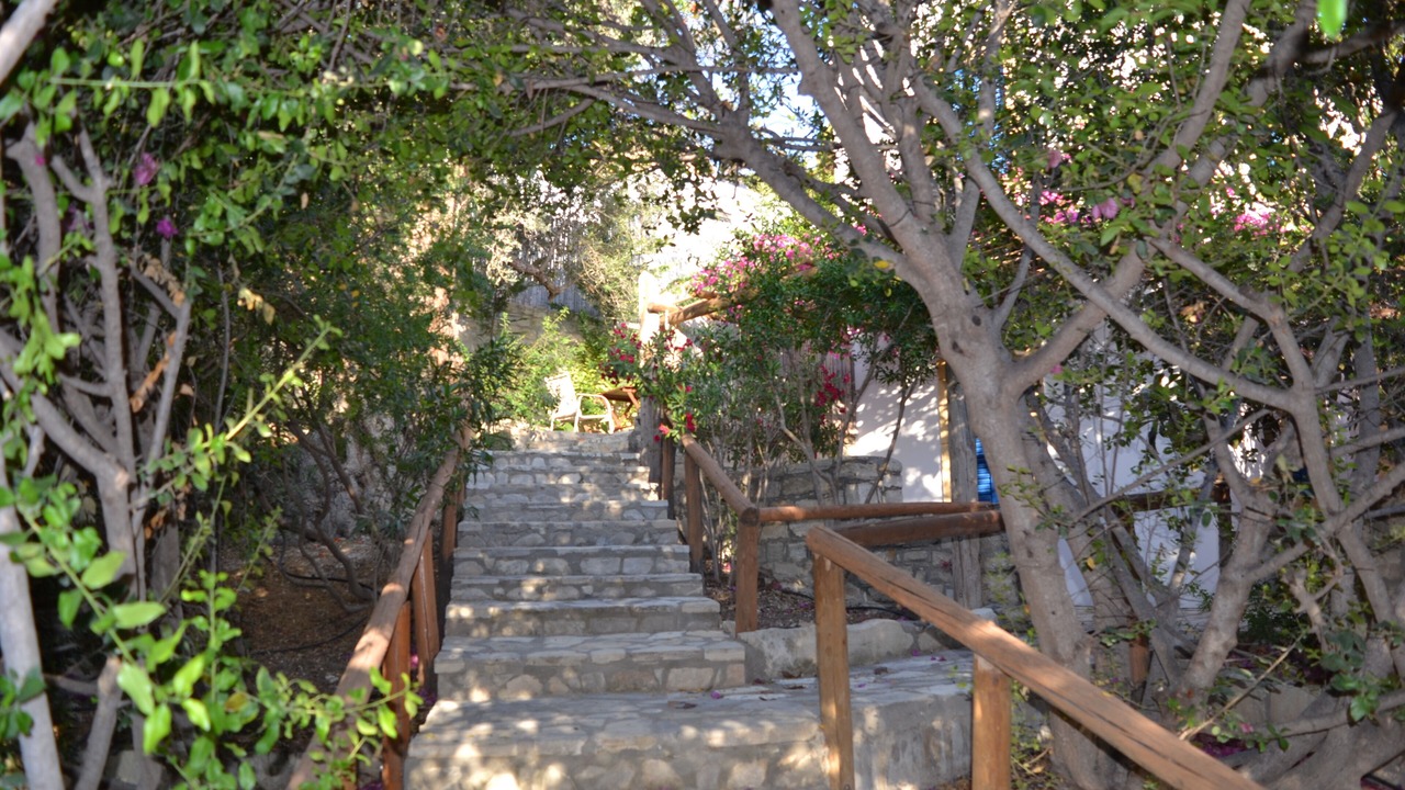 Photo of Outdoor in Kamilari