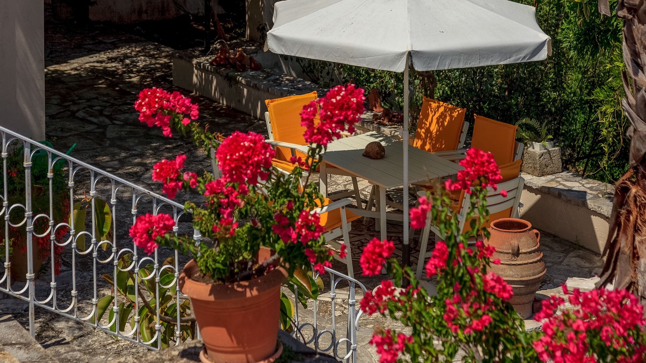 Photo of Outdoor in Corfu Town