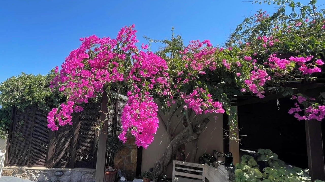 Photo of Patio Balcony in Santorini