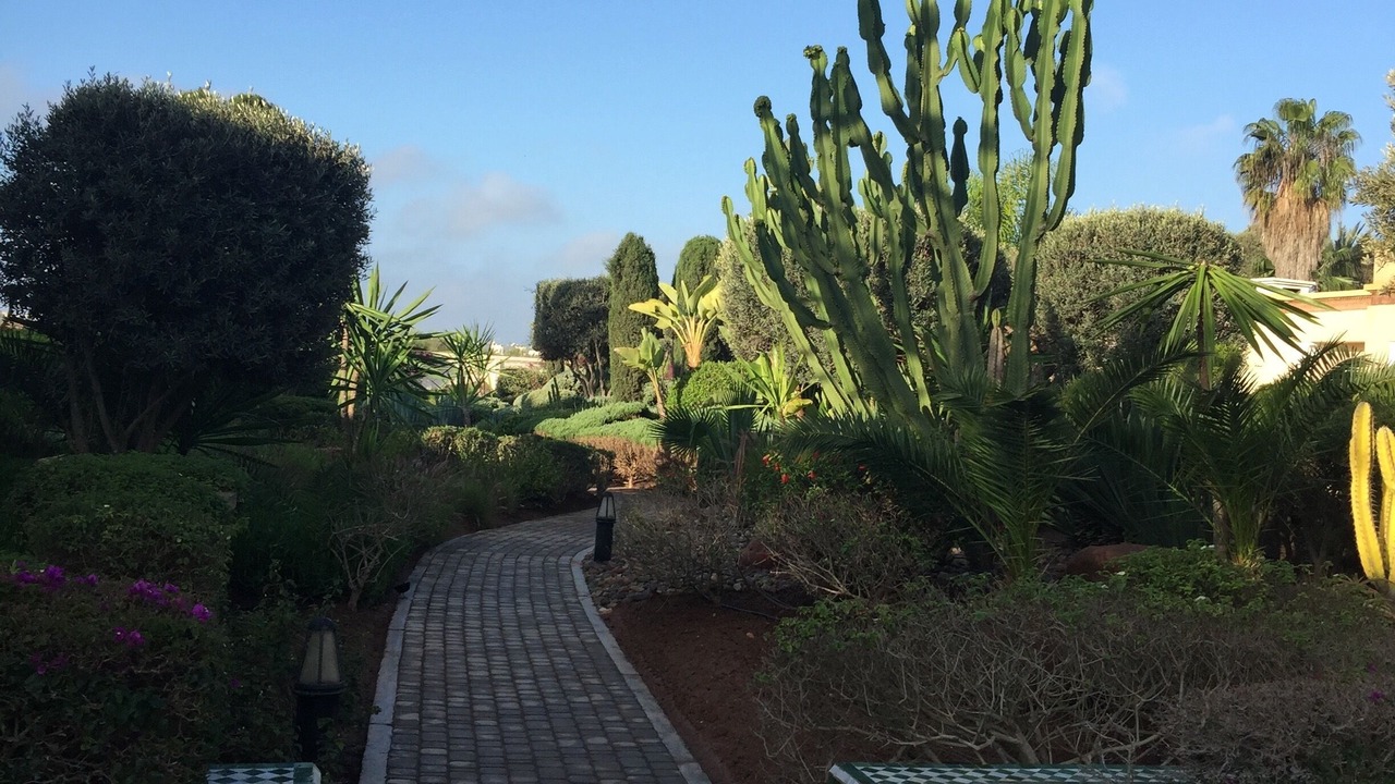 Photo of Outdoor in Agadir