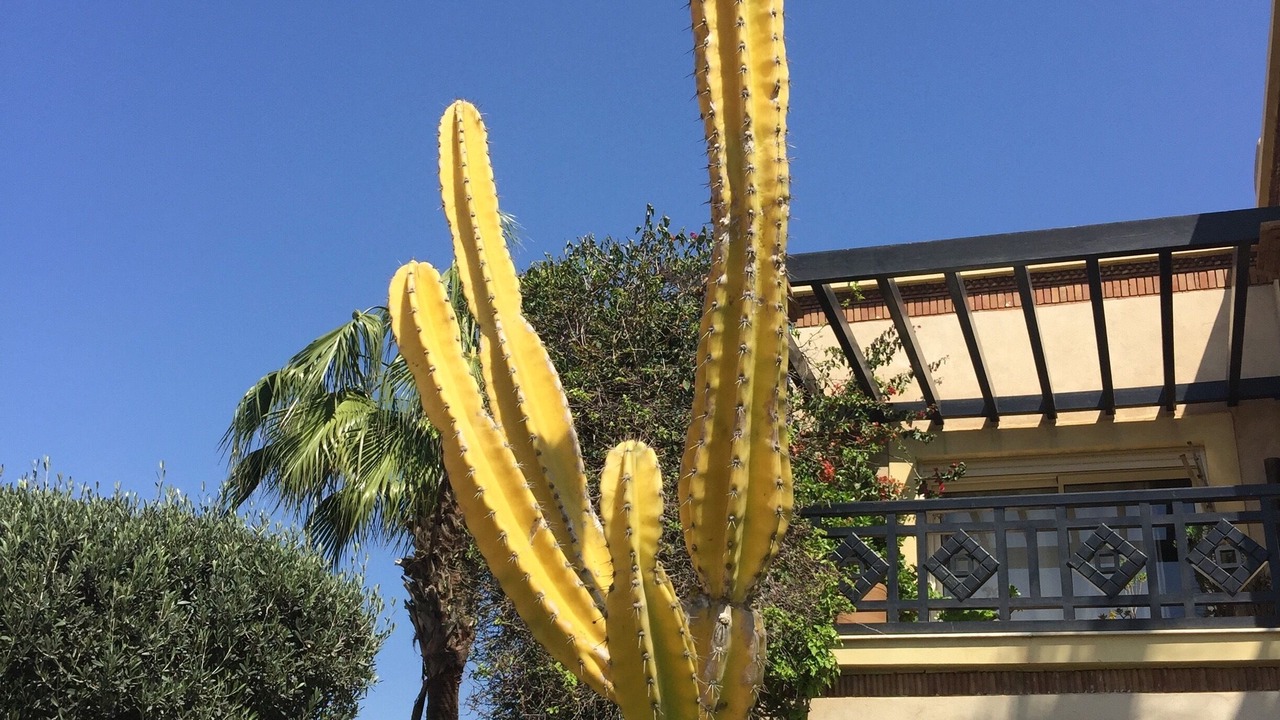 Photo of Outdoor in Agadir