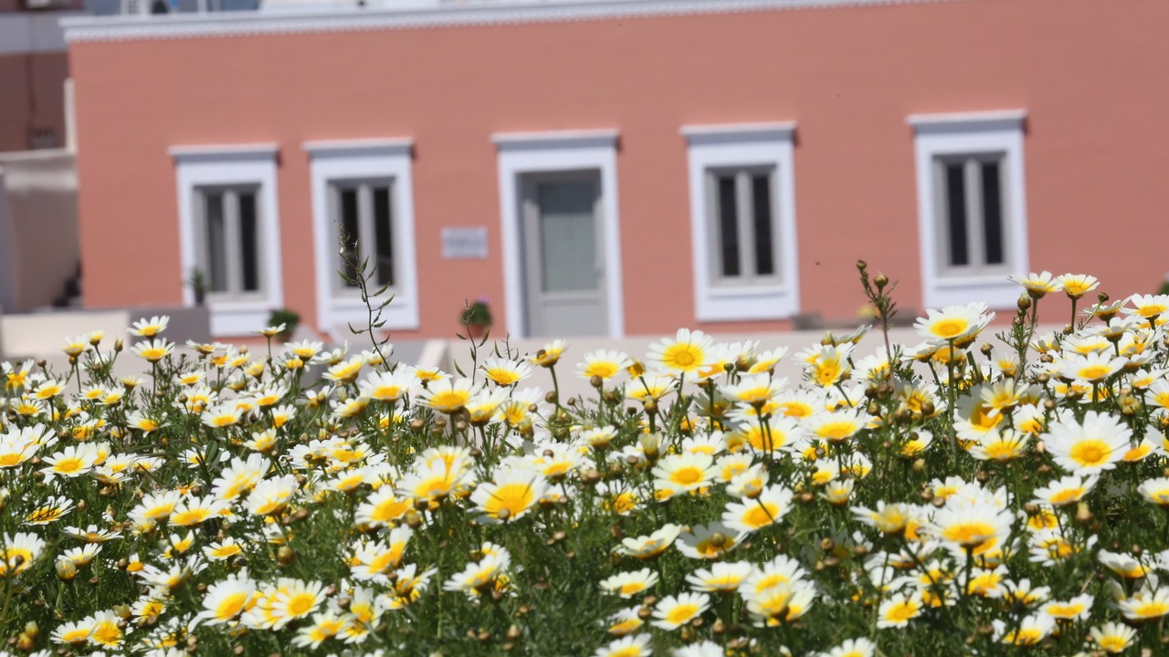 Photo of Outdoor in Karterados