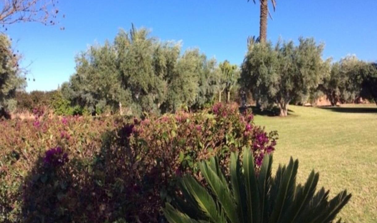 Photo of Outdoor in Tameslouht