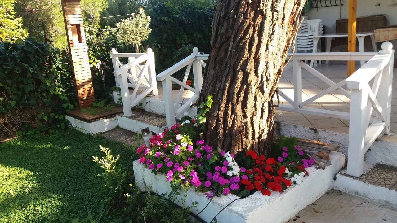 Photo of Outdoor in Nea Makri