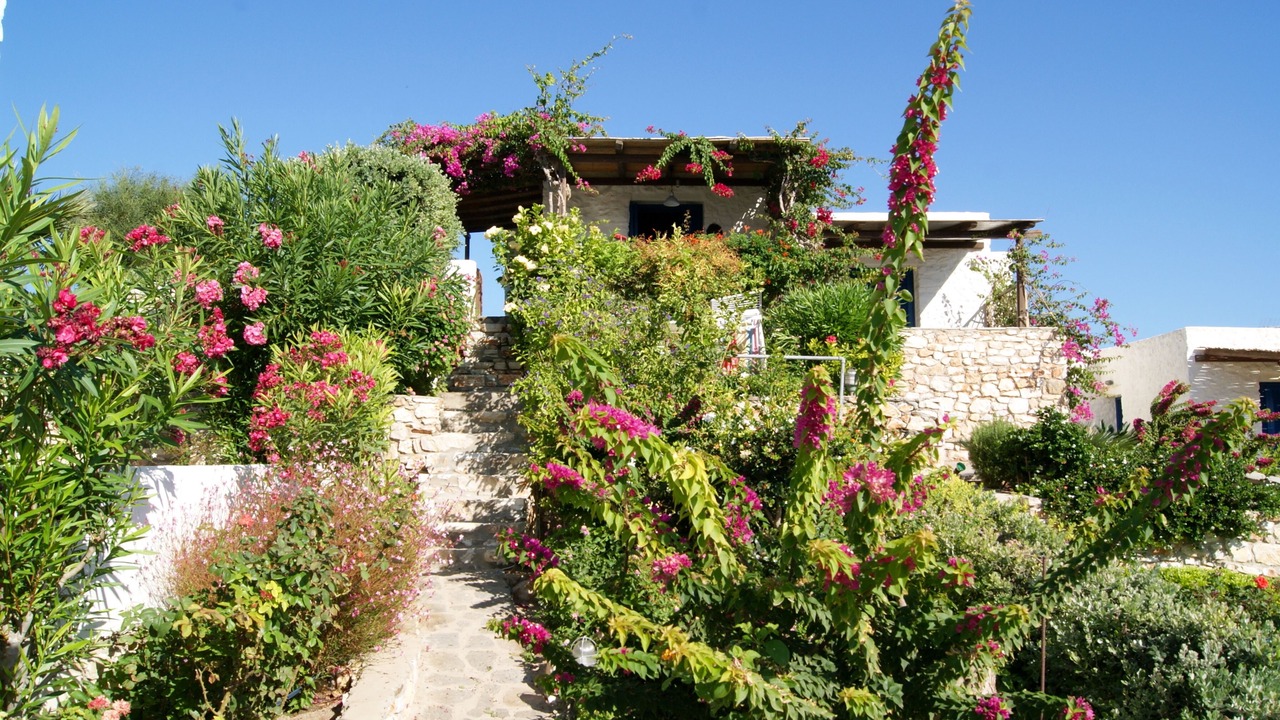 Photo of Outdoor in Krotiri