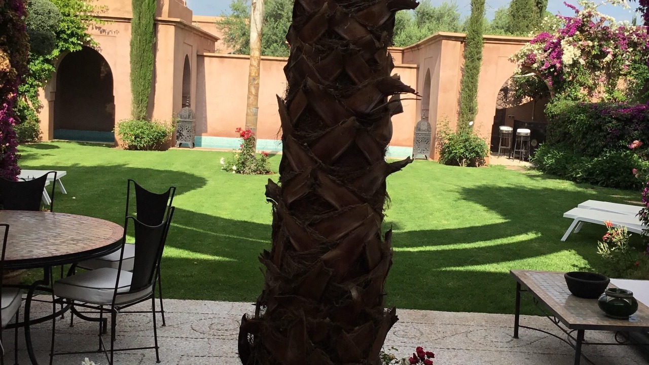 Photo of Outdoor in El Aggada