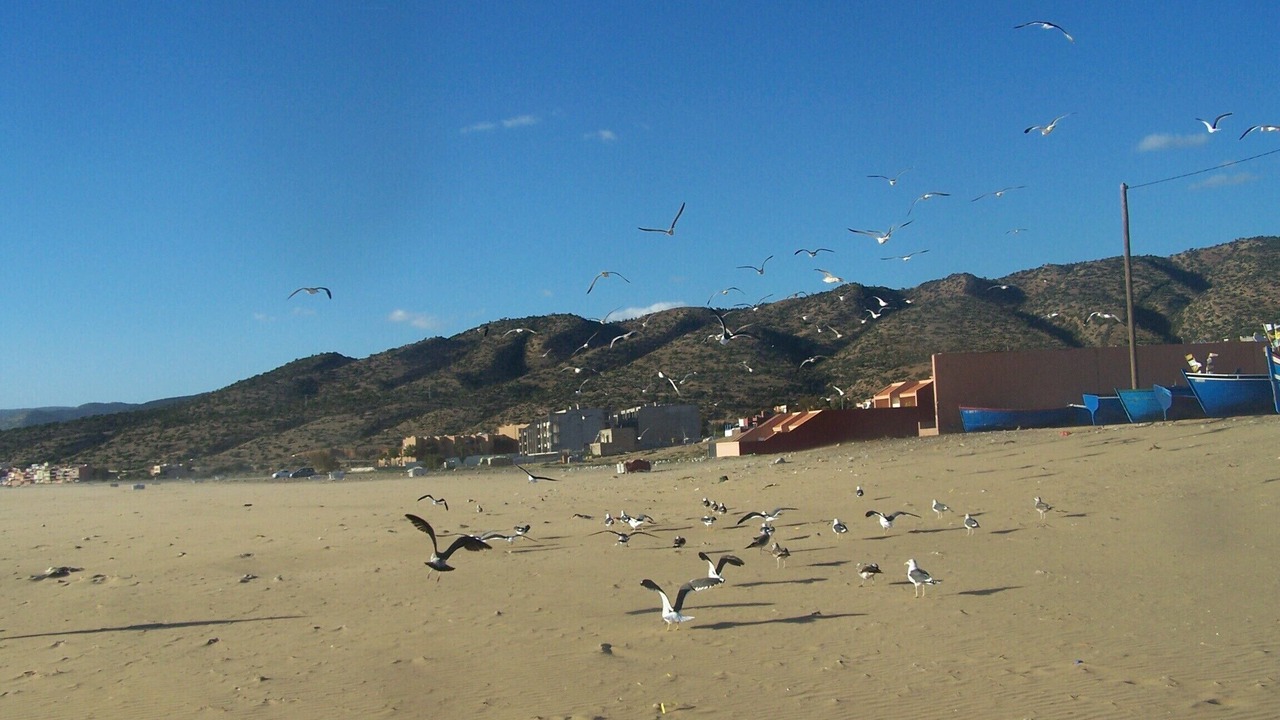 Photo of Others in Imi Ouaddar
