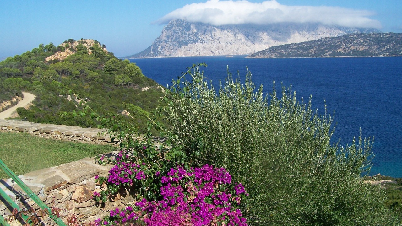 Photo of Outdoor in Imi Ouaddar